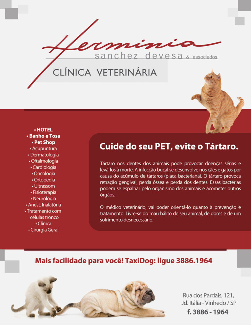 herminia clinica veterinaria em vinhedo